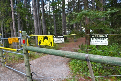 The electric fence that surrounded our campground in Banff