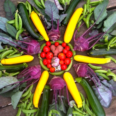 Sam made a vegetable mandala one day with some freshly harvested goodies.